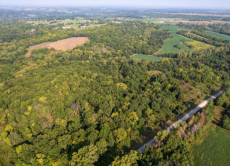 Lucas County, IA | 218 Acres m/l Premier Whitetail & Turkey Hunting