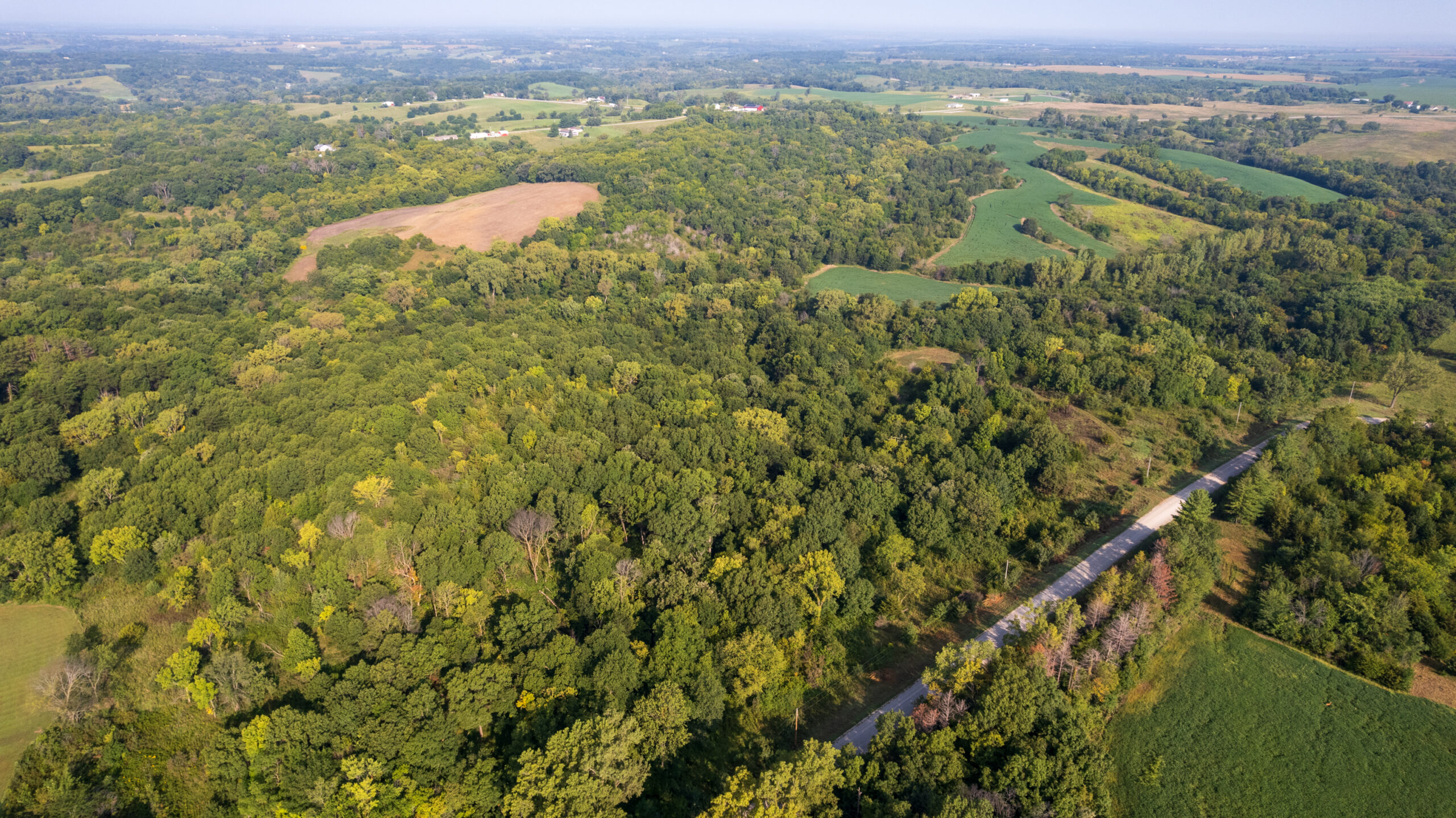 Lucas County, IA | 218 Acres m/l Premier Whitetail & Turkey Hunting