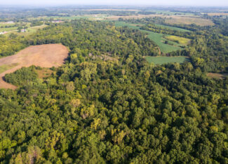 Lucas County, IA | 218 Acres m/l Premier Whitetail & Turkey Hunting