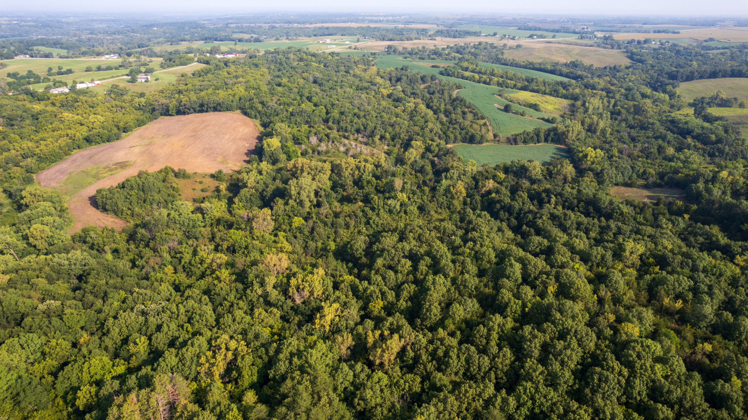 Lucas County, IA | 218 Acres m/l Premier Whitetail & Turkey Hunting