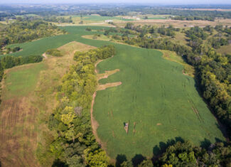 Lucas County, IA | 218 Acres m/l Premier Whitetail & Turkey Hunting