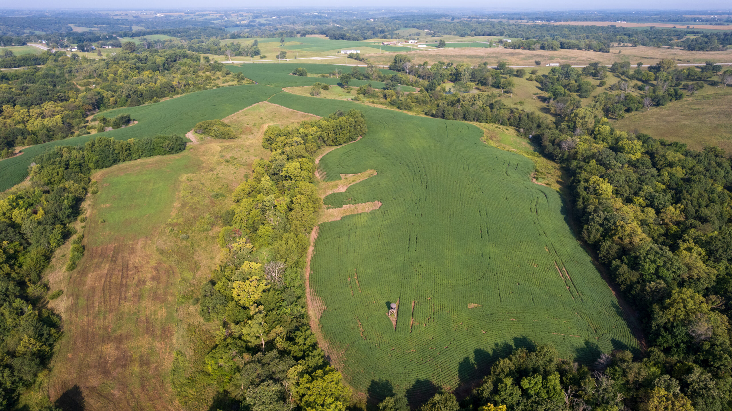Lucas County, IA | 218 Acres m/l Premier Whitetail & Turkey Hunting