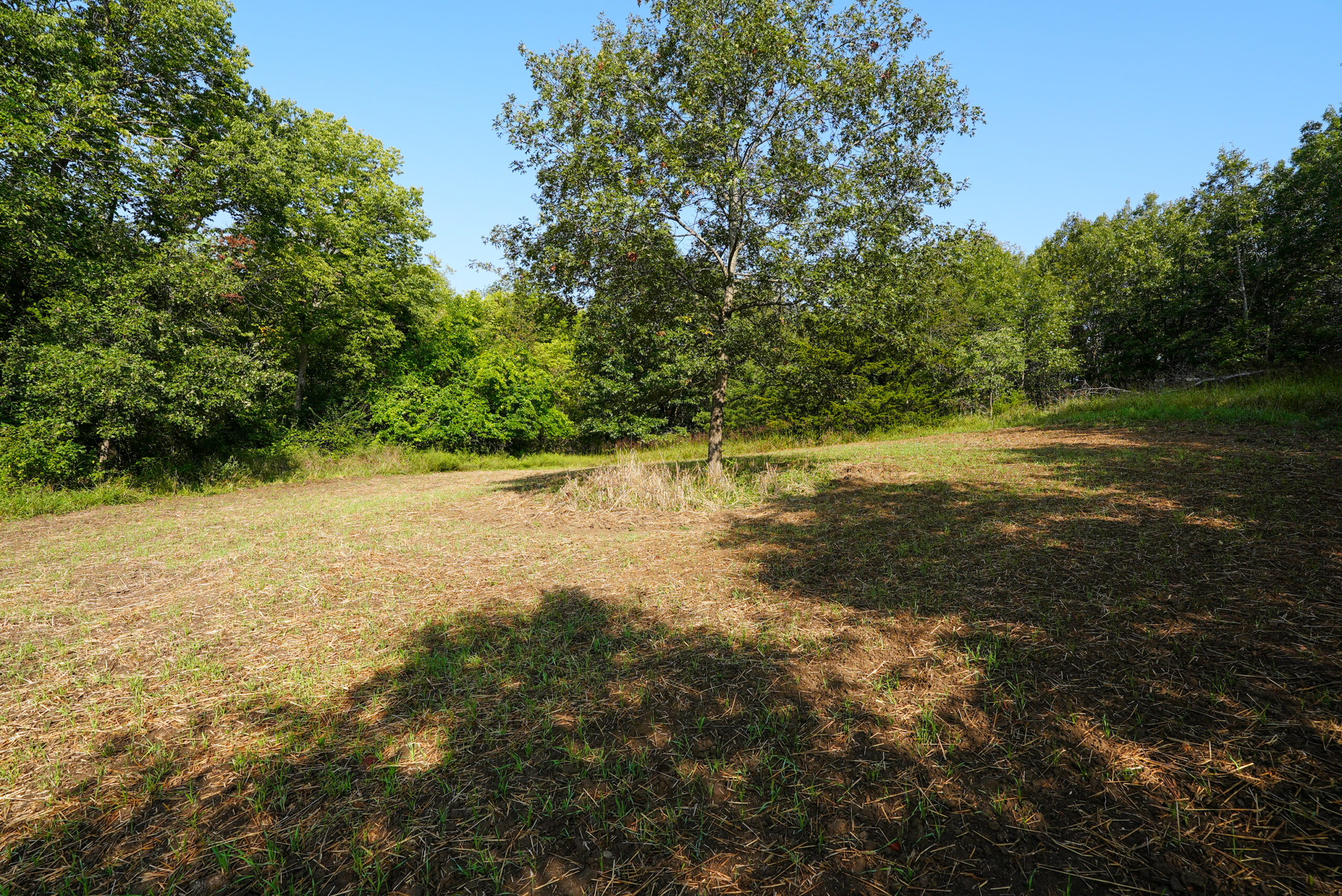Lucas County, IA | 218 Acres m/l Premier Whitetail & Turkey Hunting