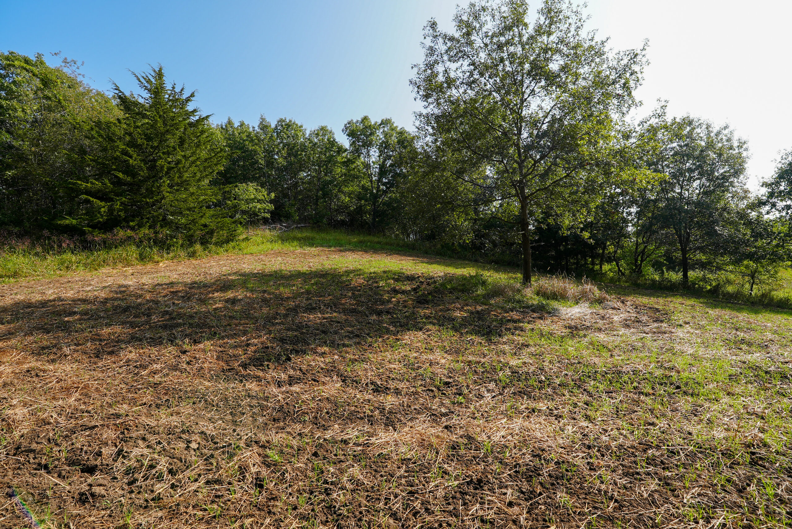 Lucas County, IA | 218 Acres m/l Premier Whitetail & Turkey Hunting