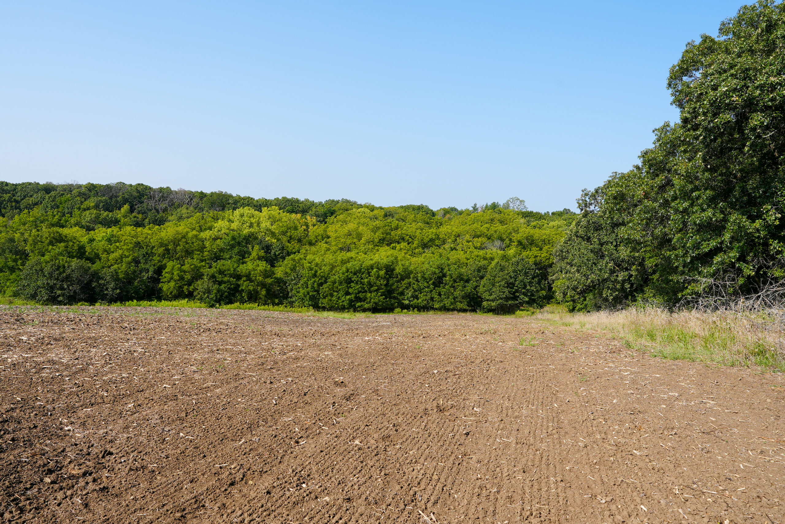 Lucas County, IA | 218 Acres m/l Premier Whitetail & Turkey Hunting