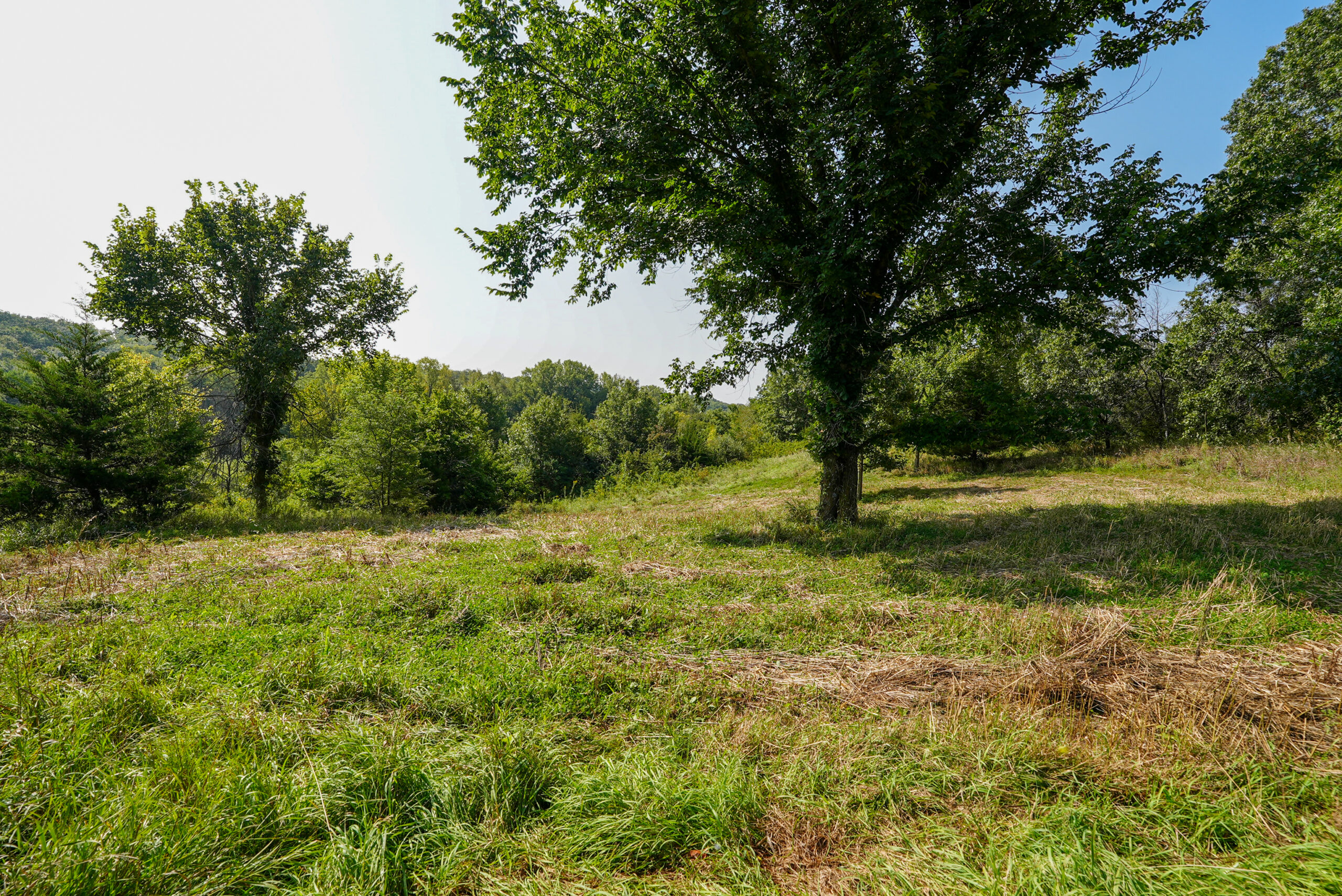 Lucas County, IA | 218 Acres m/l Premier Whitetail & Turkey Hunting