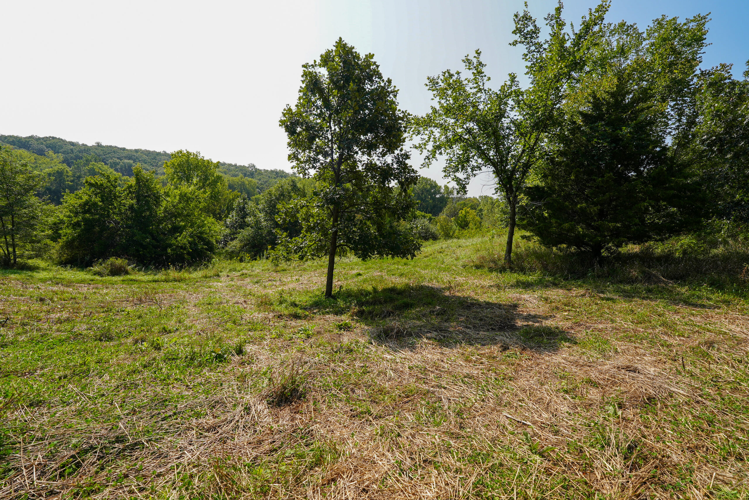 Lucas County, IA | 218 Acres m/l Premier Whitetail & Turkey Hunting