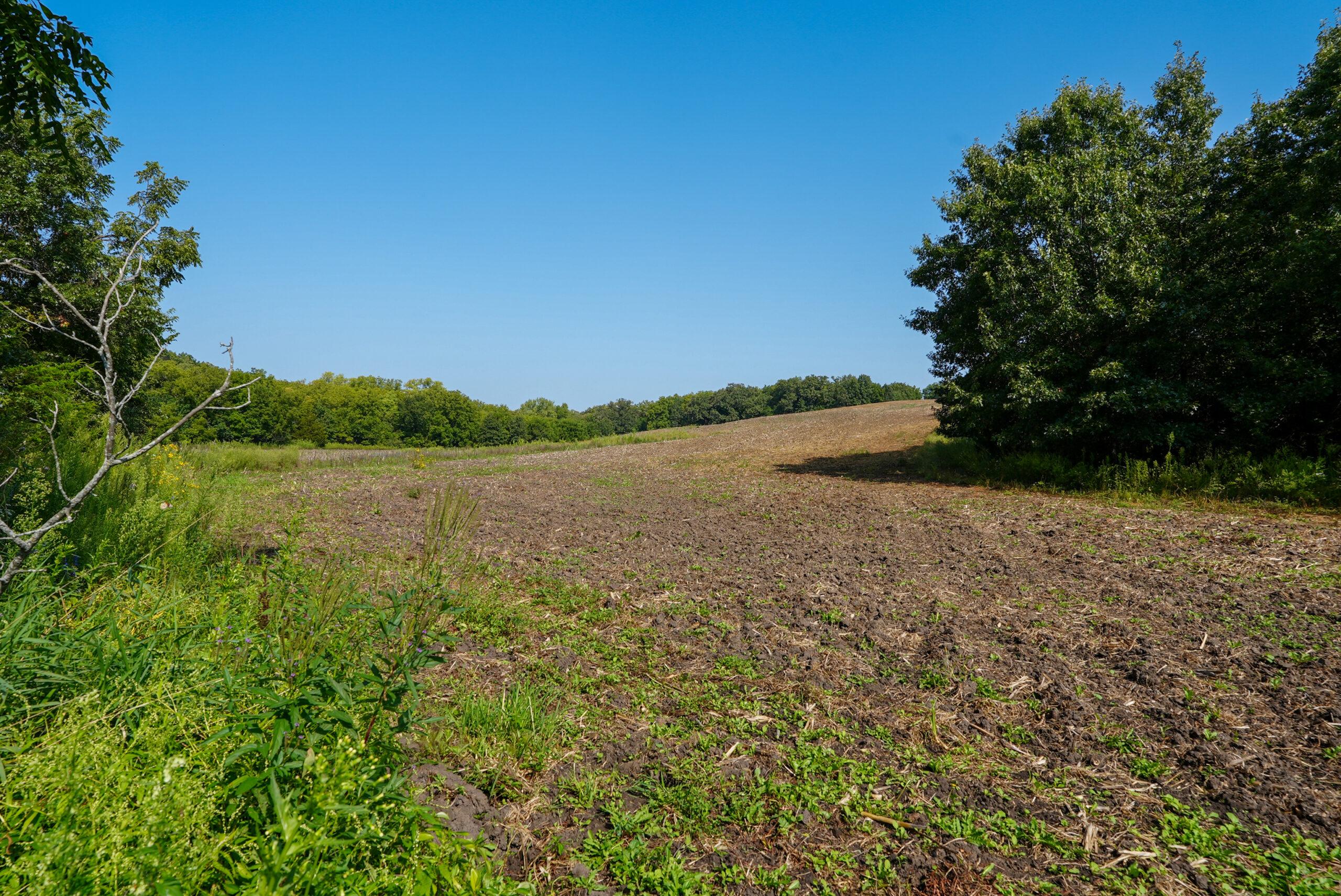 Lucas County, IA | 218 Acres m/l Premier Whitetail & Turkey Hunting