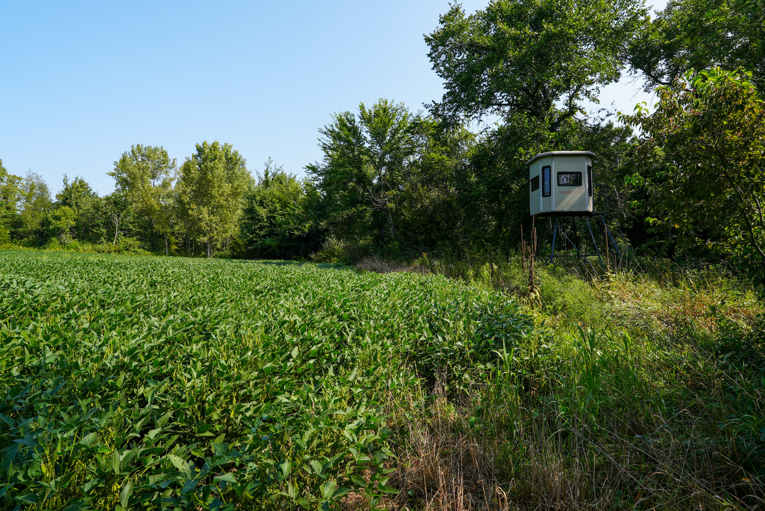Lucas County, IA | 218 Acres m/l Premier Whitetail & Turkey Hunting