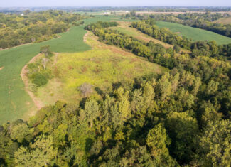 Lucas County, IA | 218 Acres m/l Premier Whitetail & Turkey Hunting