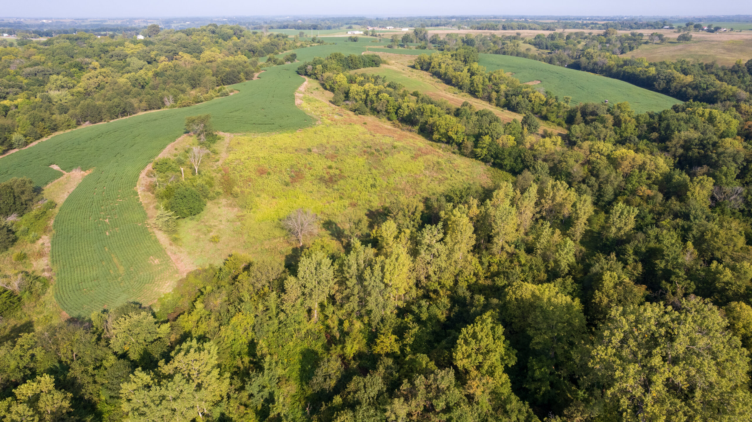 Lucas County, IA | 218 Acres m/l Premier Whitetail & Turkey Hunting