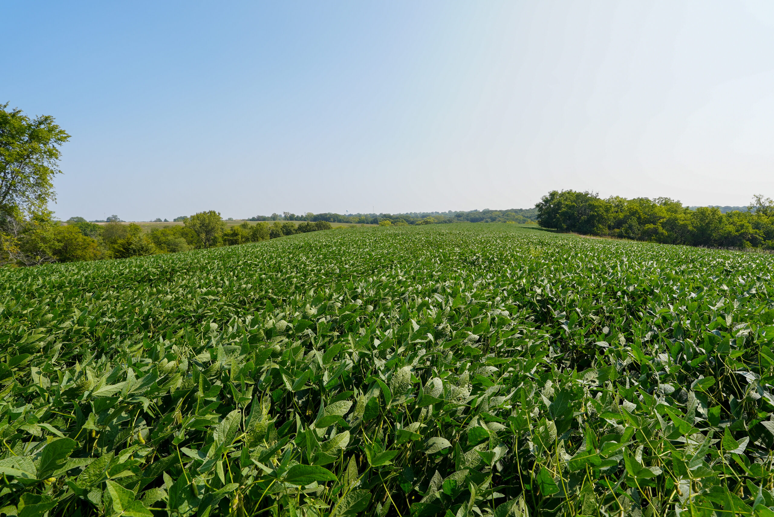 Lucas County, IA | 218 Acres m/l Premier Whitetail & Turkey Hunting