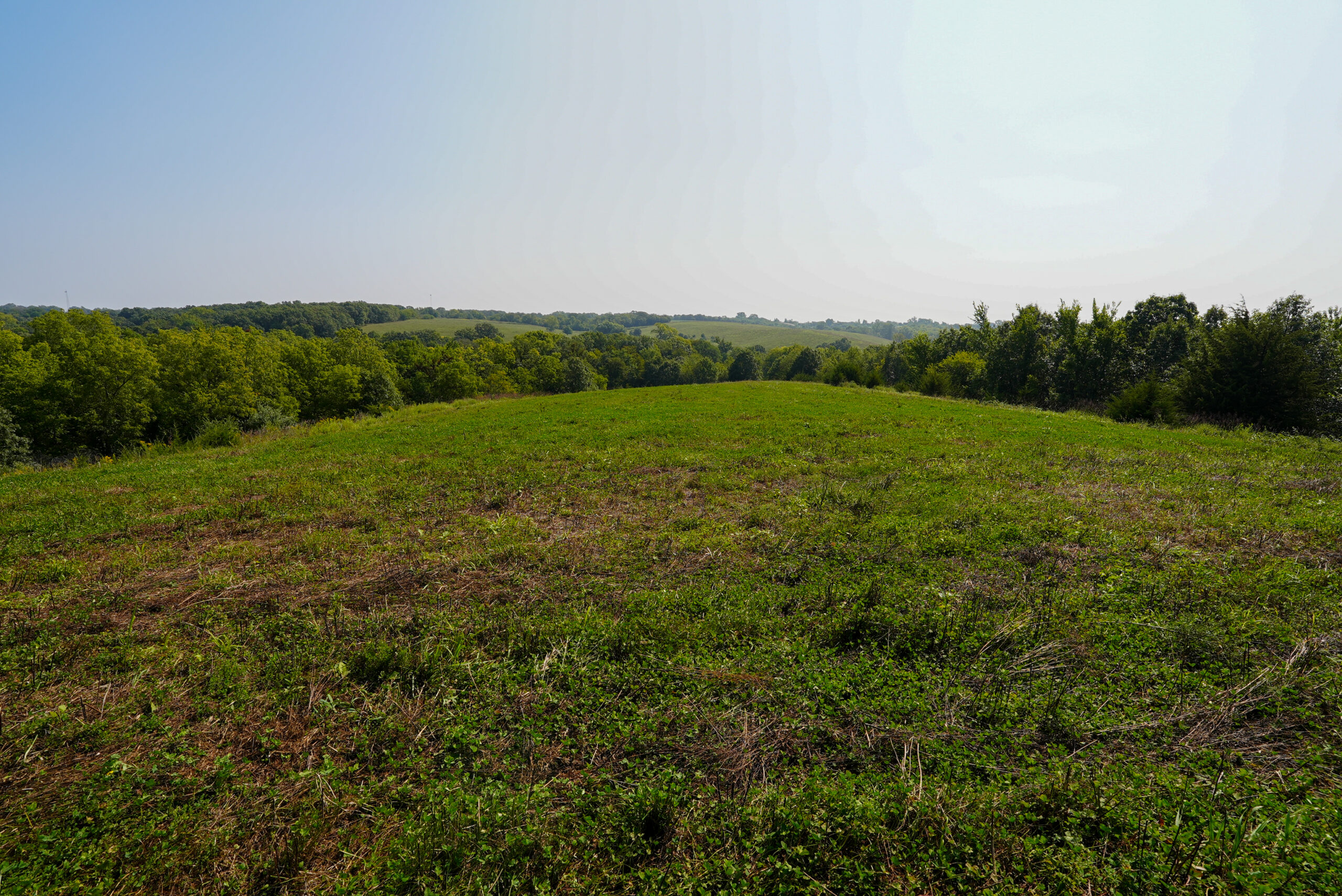 Lucas County, IA | 218 Acres m/l Premier Whitetail & Turkey Hunting