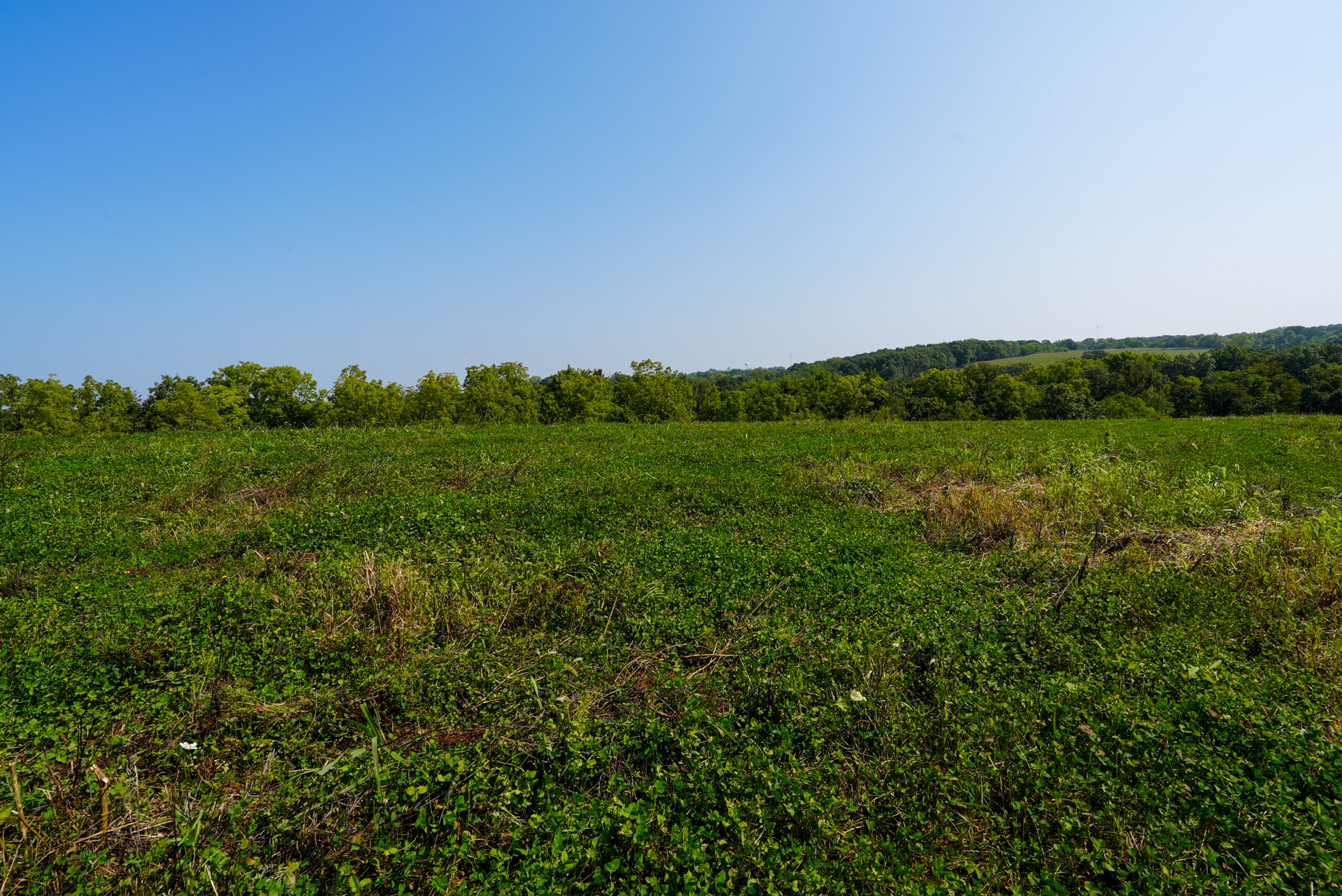 Lucas County, IA | 218 Acres m/l Premier Whitetail & Turkey Hunting