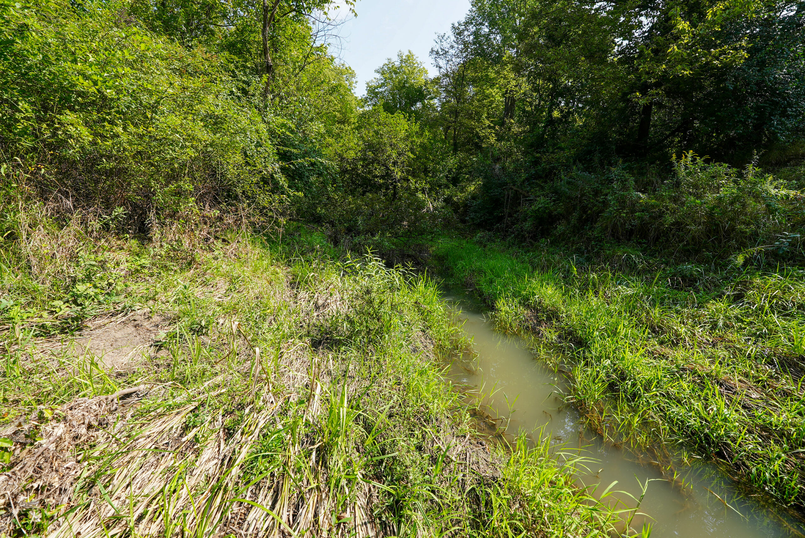 Lucas County, IA | 218 Acres m/l Premier Whitetail & Turkey Hunting