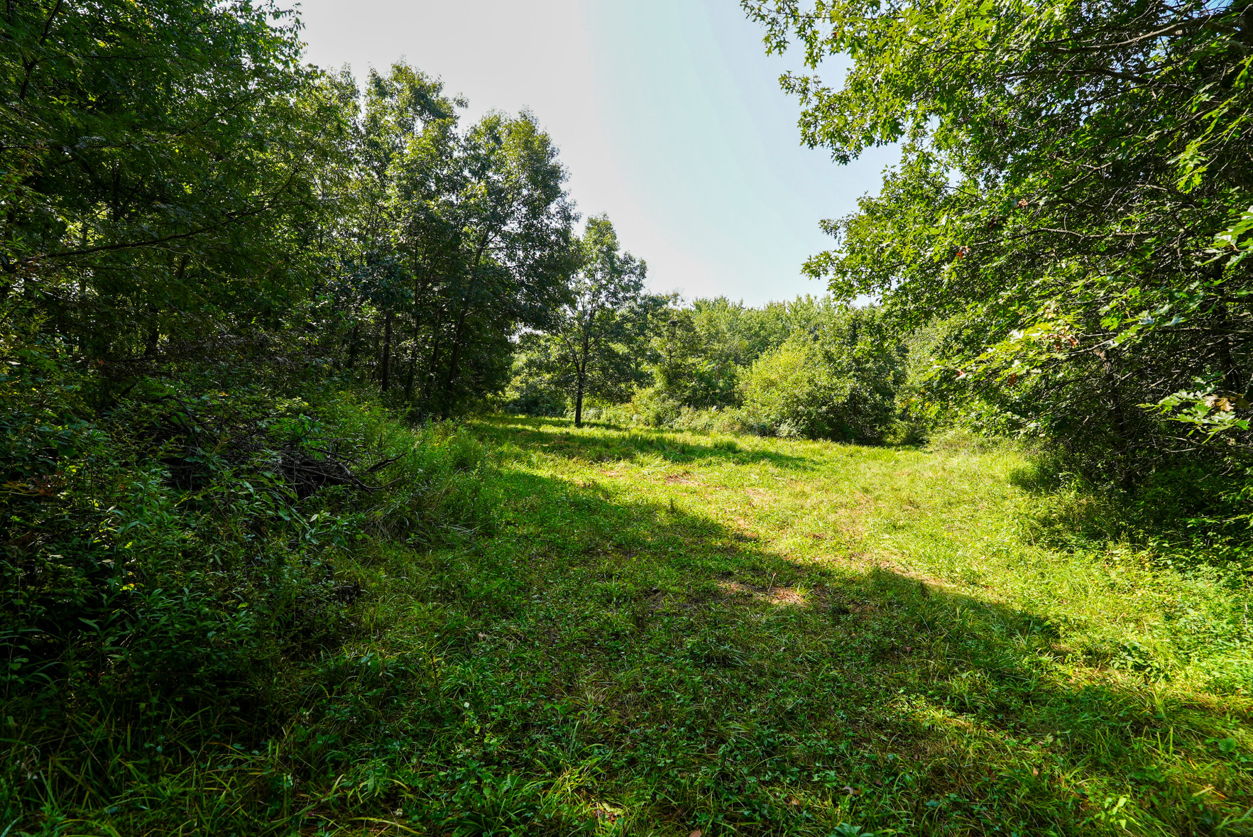 Lucas County, IA | 218 Acres m/l Premier Whitetail & Turkey Hunting