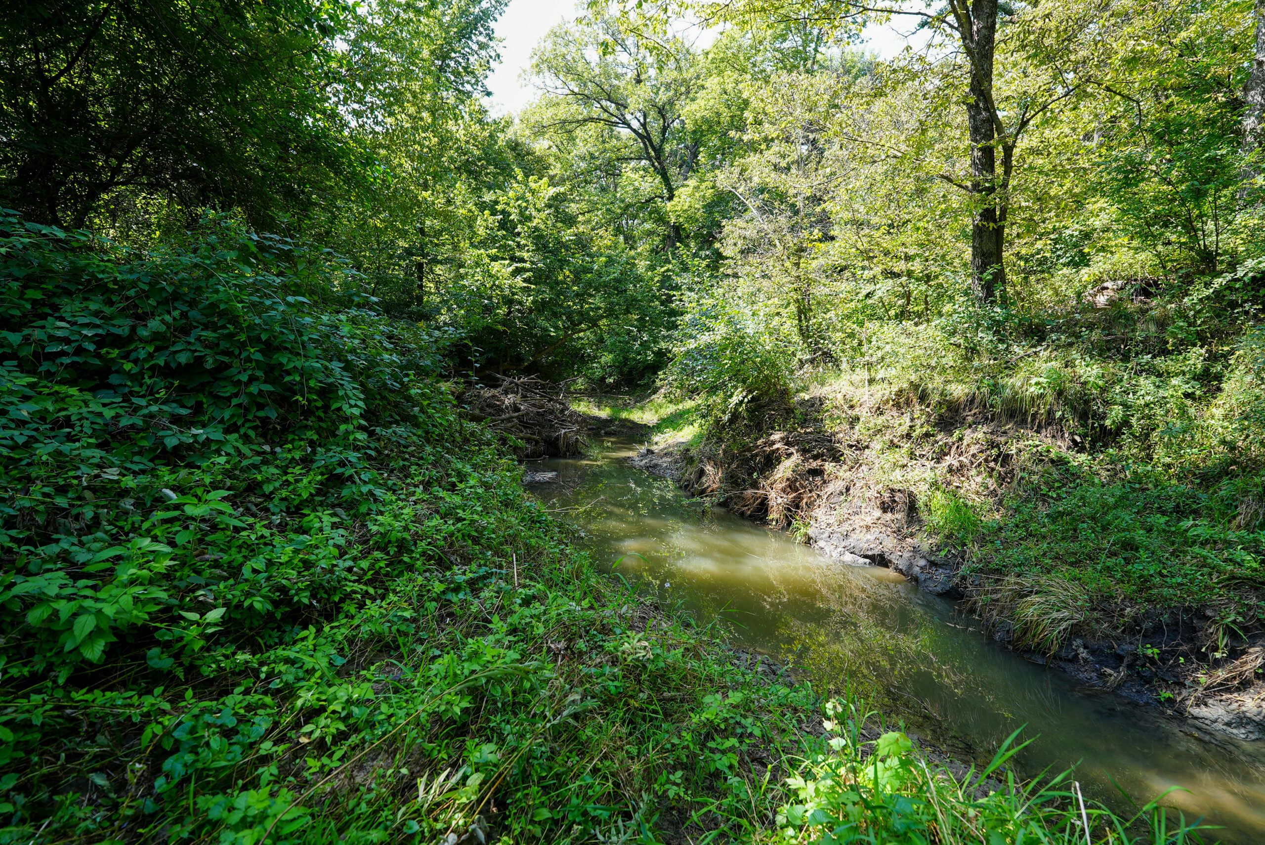 Lucas County, IA | 218 Acres m/l Premier Whitetail & Turkey Hunting