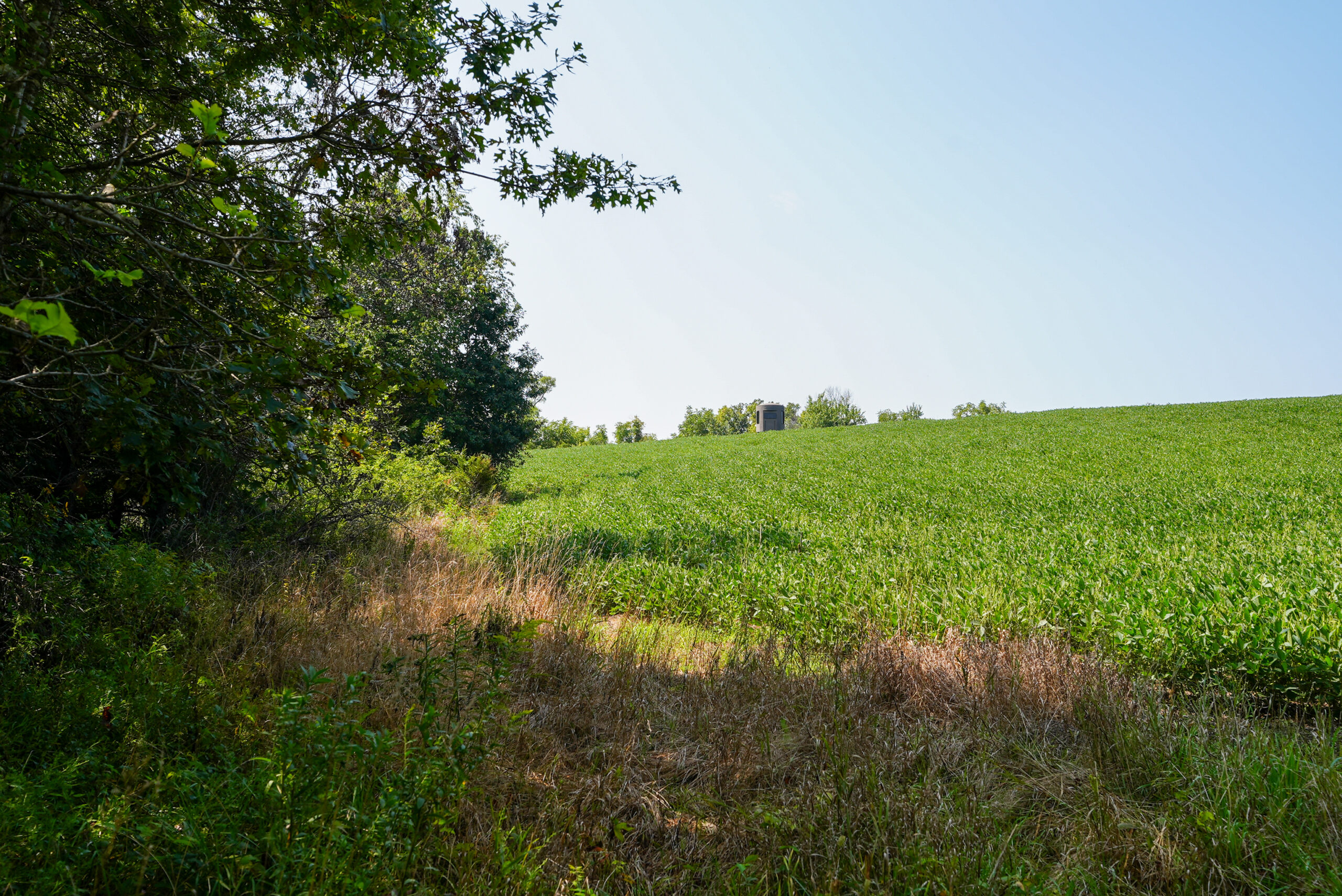 Lucas County, IA | 218 Acres m/l Premier Whitetail & Turkey Hunting