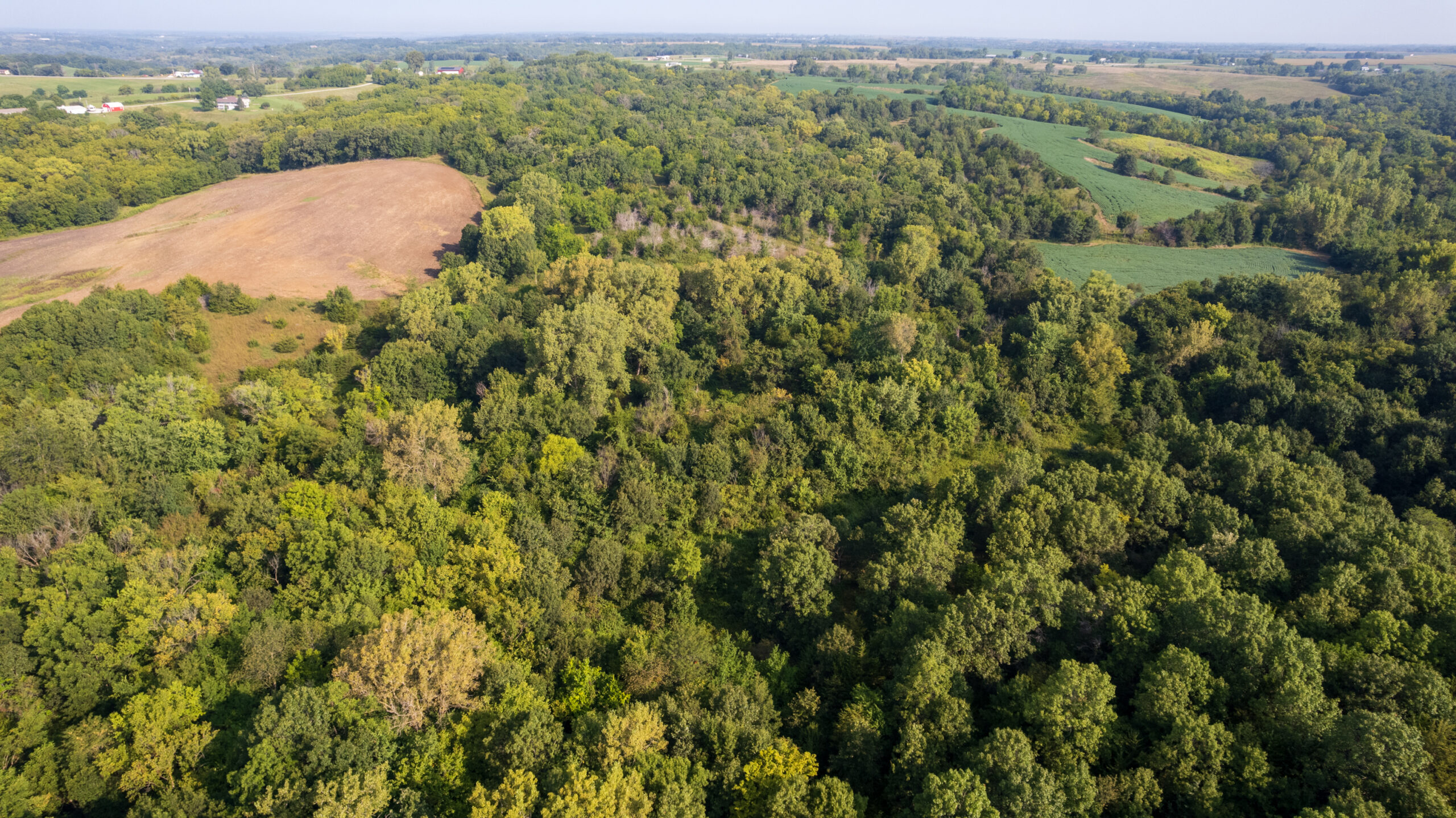 Lucas County, IA | 218 Acres m/l Premier Whitetail & Turkey Hunting