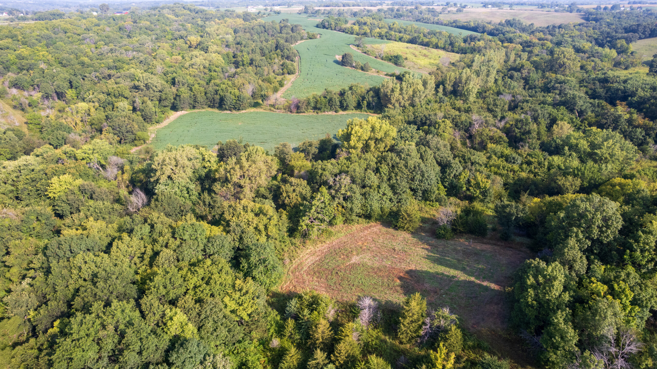 Lucas County, IA | 218 Acres m/l Premier Whitetail & Turkey Hunting