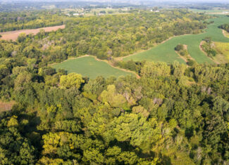 Lucas County, IA | 218 Acres m/l Premier Whitetail & Turkey Hunting