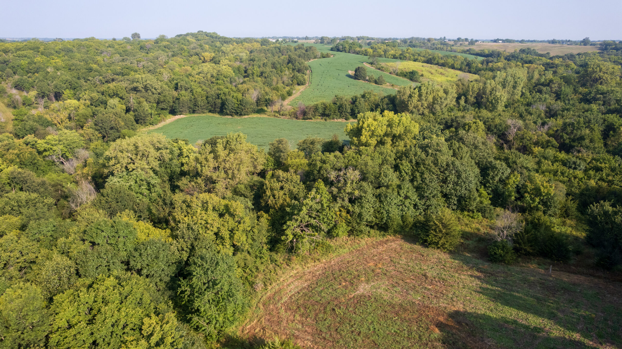 Lucas County, IA | 218 Acres m/l Premier Whitetail & Turkey Hunting