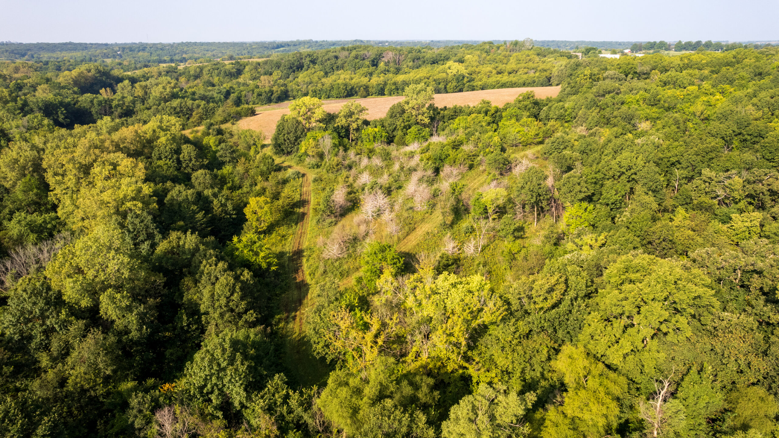Lucas County, IA | 218 Acres m/l Premier Whitetail & Turkey Hunting