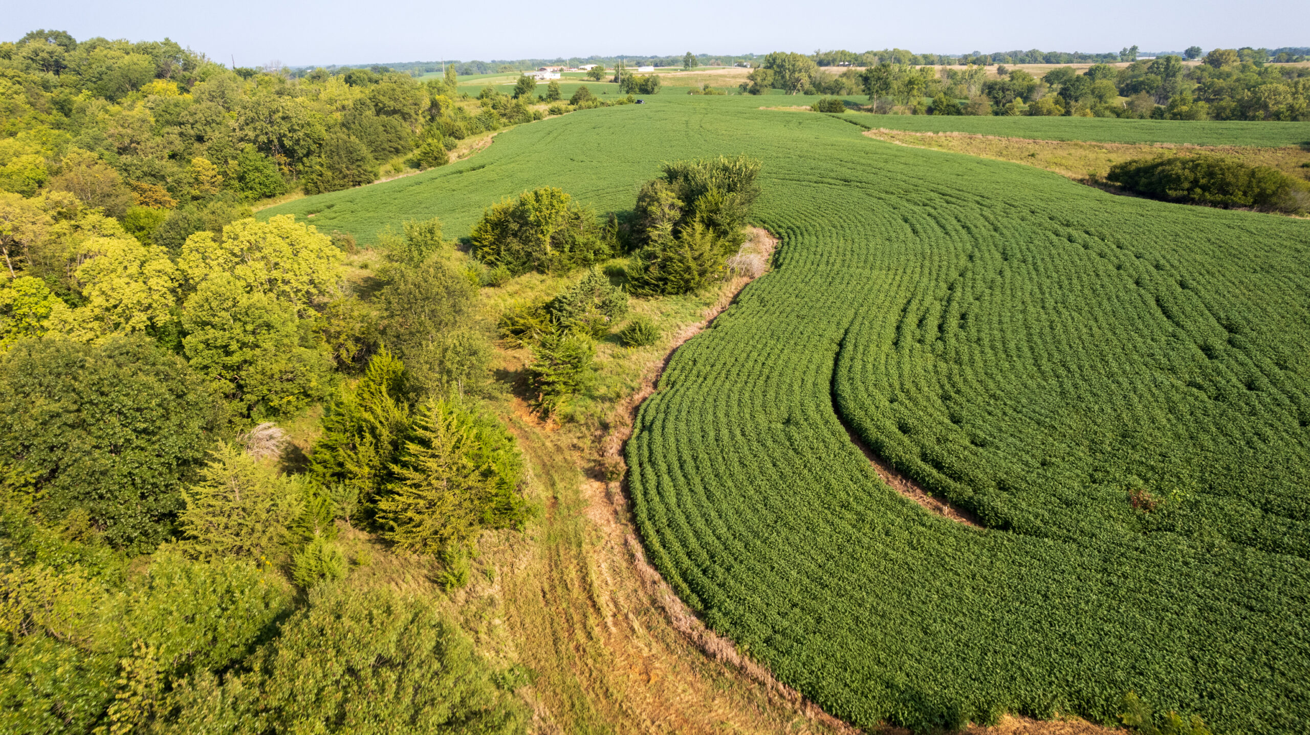 Lucas County, IA | 218 Acres m/l Premier Whitetail & Turkey Hunting