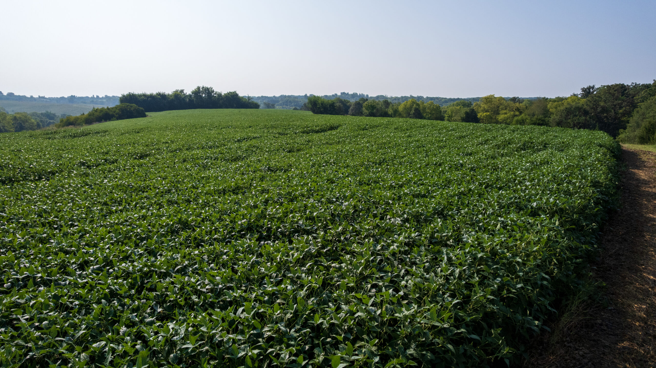 Lucas County, IA | 218 Acres m/l Premier Whitetail & Turkey Hunting