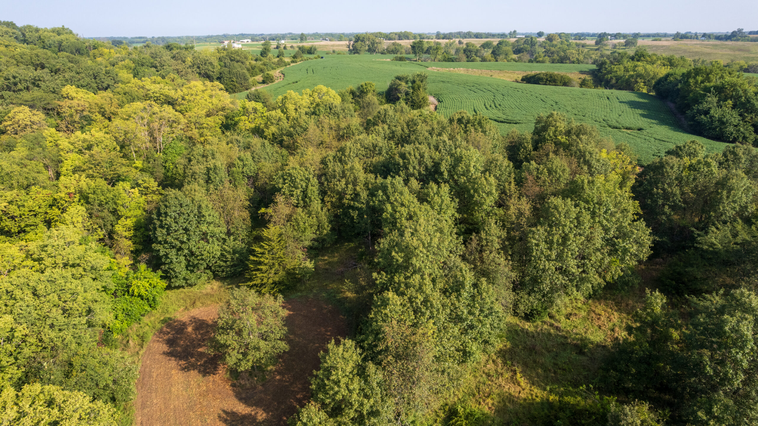 Lucas County, IA | 218 Acres m/l Premier Whitetail & Turkey Hunting