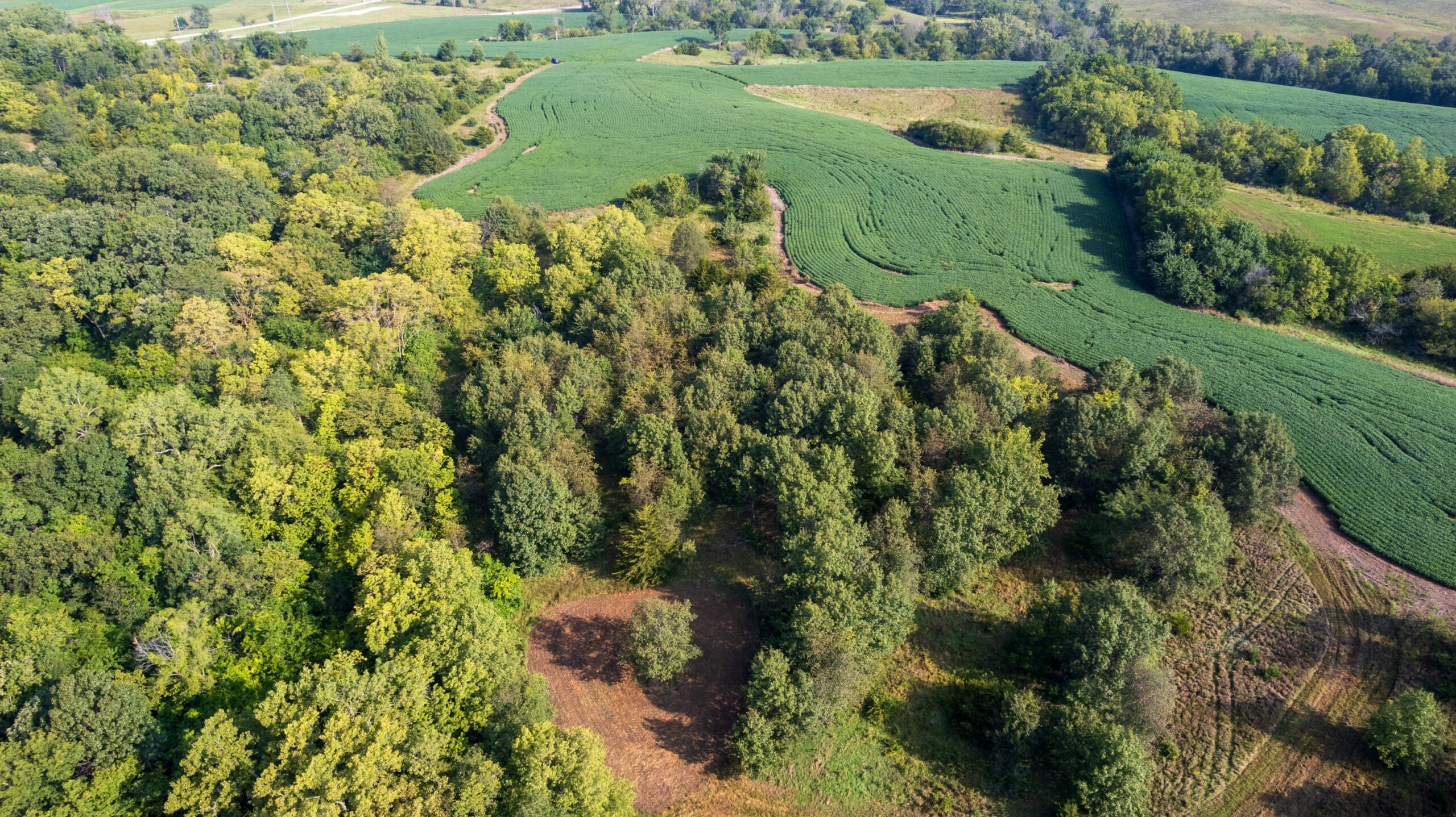Lucas County, IA | 218 Acres m/l Premier Whitetail & Turkey Hunting