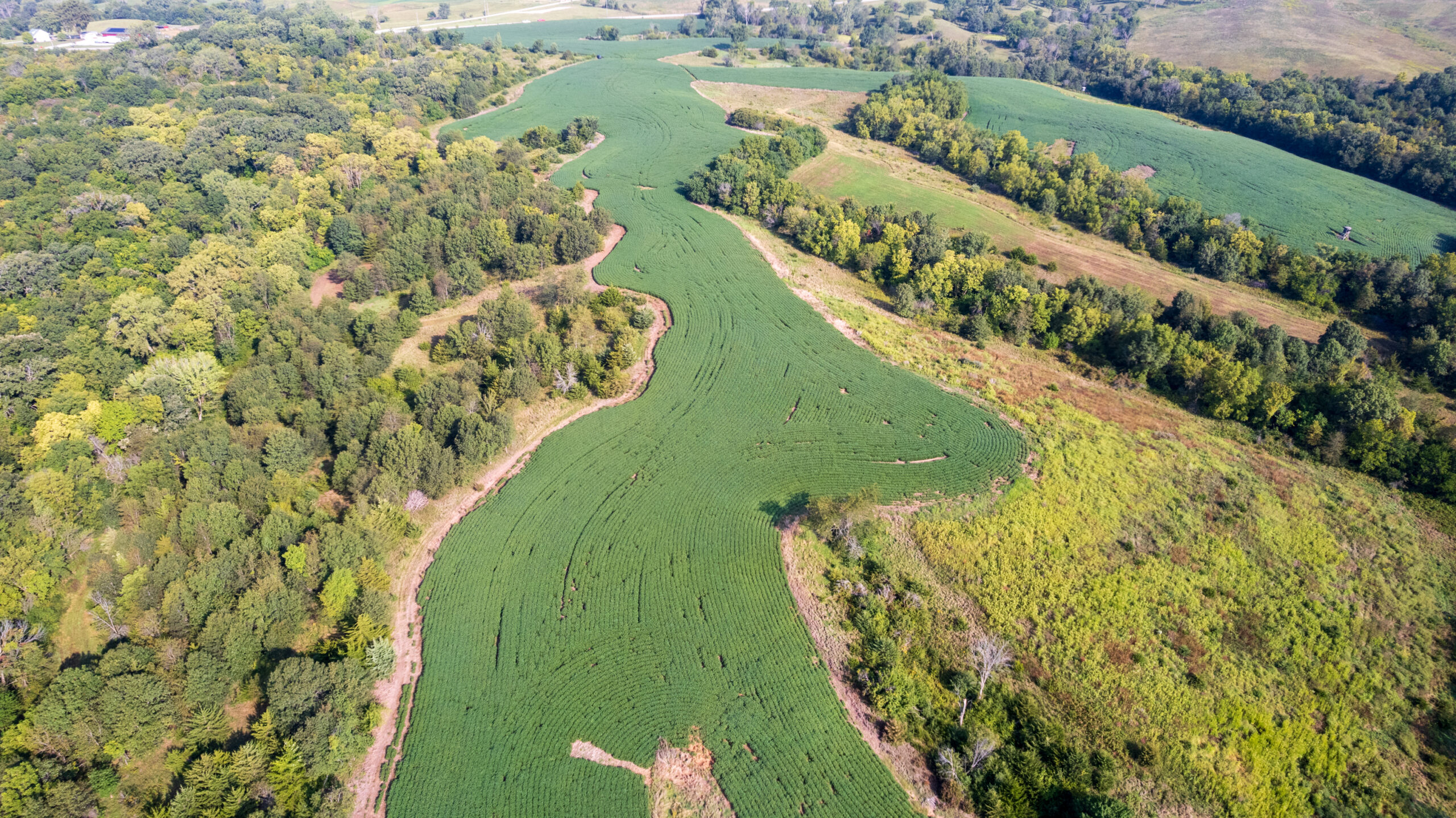 Lucas County, IA | 218 Acres m/l Premier Whitetail & Turkey Hunting