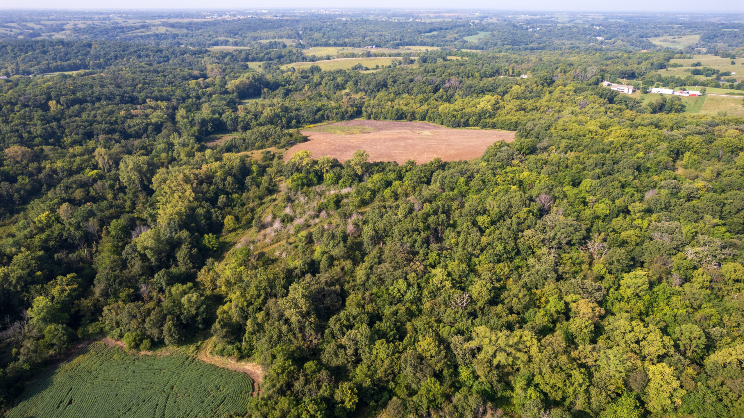 Lucas County, IA | 218 Acres m/l Premier Whitetail & Turkey Hunting