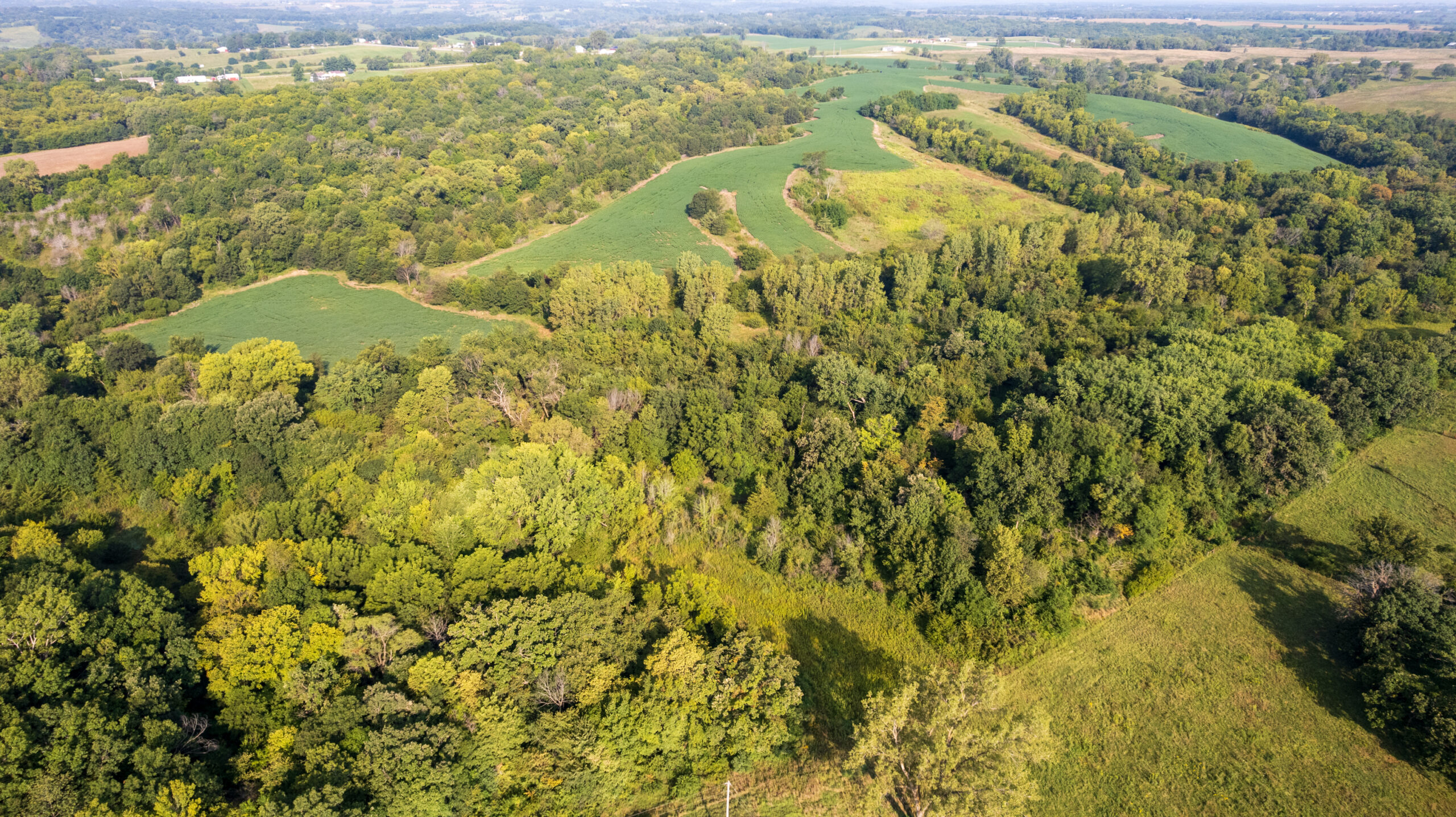 Lucas County, IA | 218 Acres m/l Premier Whitetail & Turkey Hunting