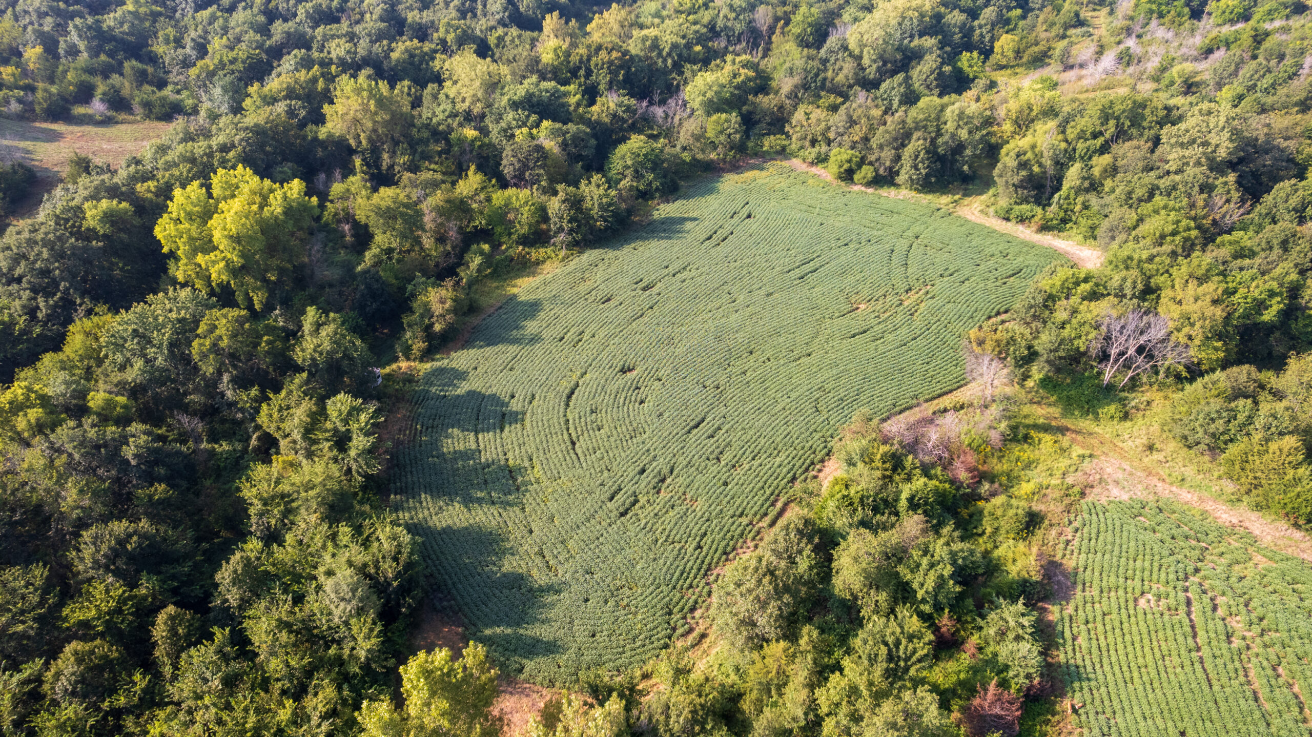 Lucas County, IA | 218 Acres m/l Premier Whitetail & Turkey Hunting