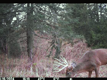 NEBRASKA MERIDIAN CANYON HUNTING & RANCH LAND