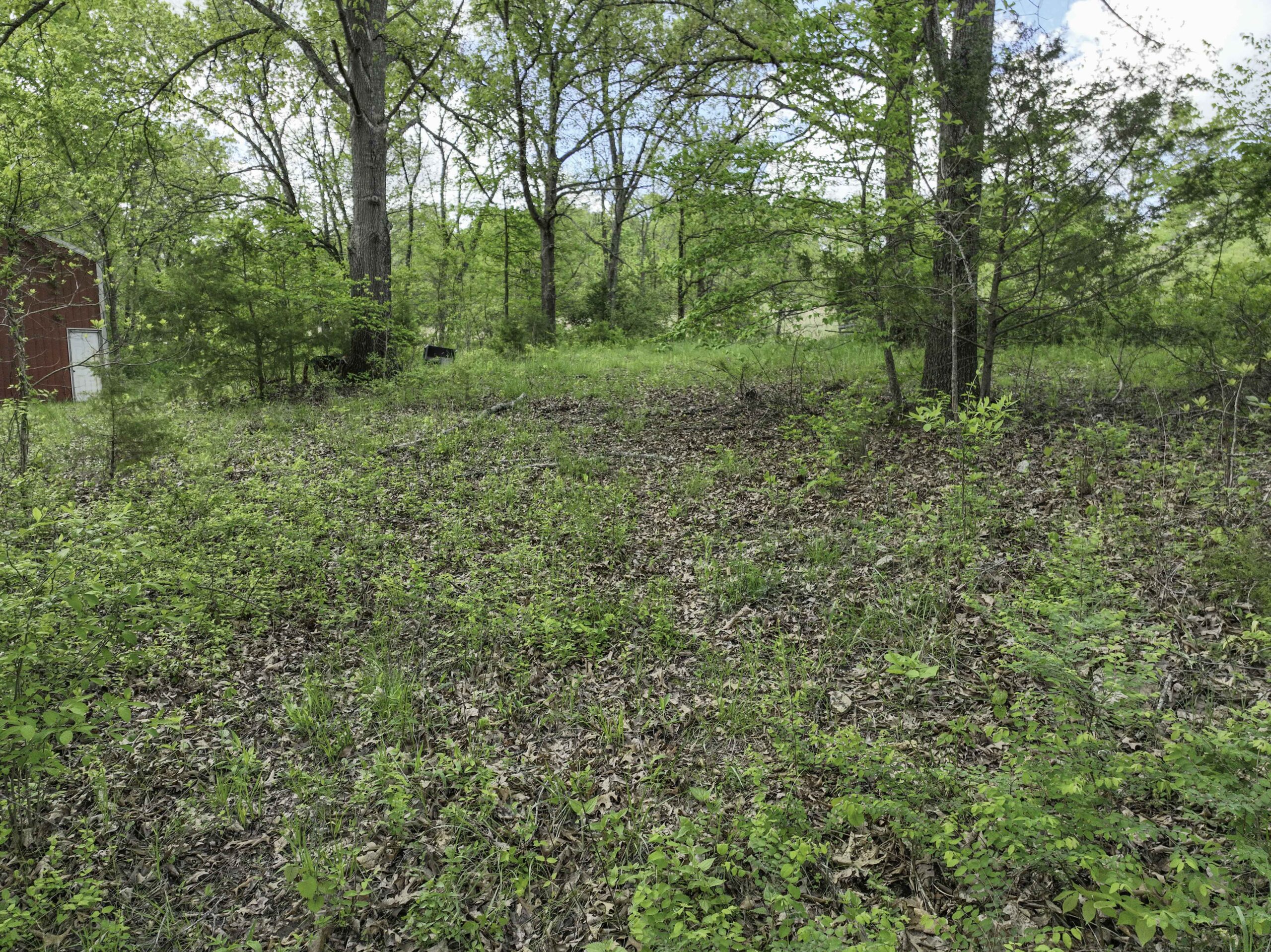Douglas County, Missouri Hunting Land For Sale near Ava, Mo