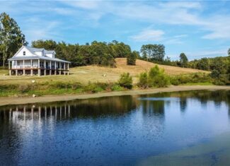 Ozark Mountain Home Hunting Retreat with Spring Fed Ponds For Sale in Searcy Co, Arkansas
