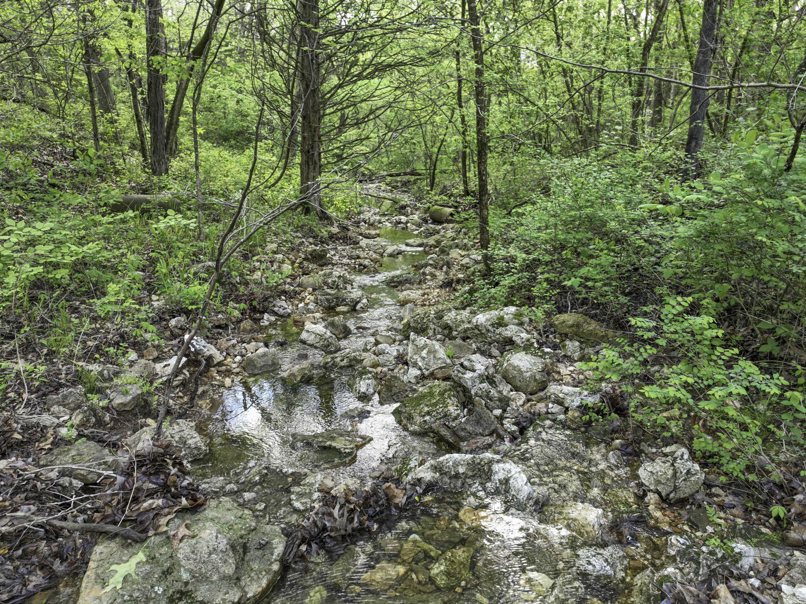 Douglas County, Missouri Hunting Land For Sale near Ava, Mo