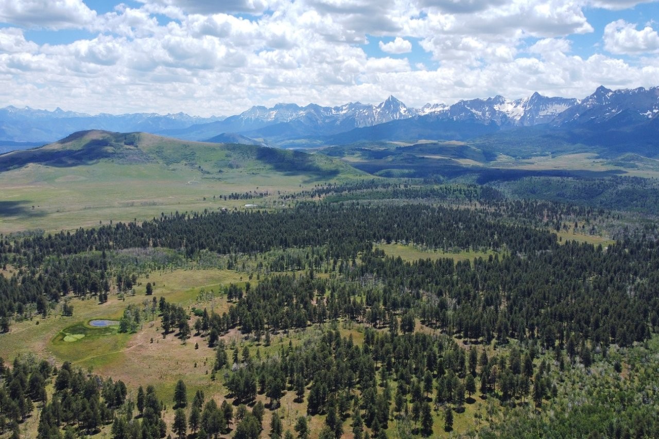 161 Acres San Juan Mountain Land for Sale in Placerville, CO