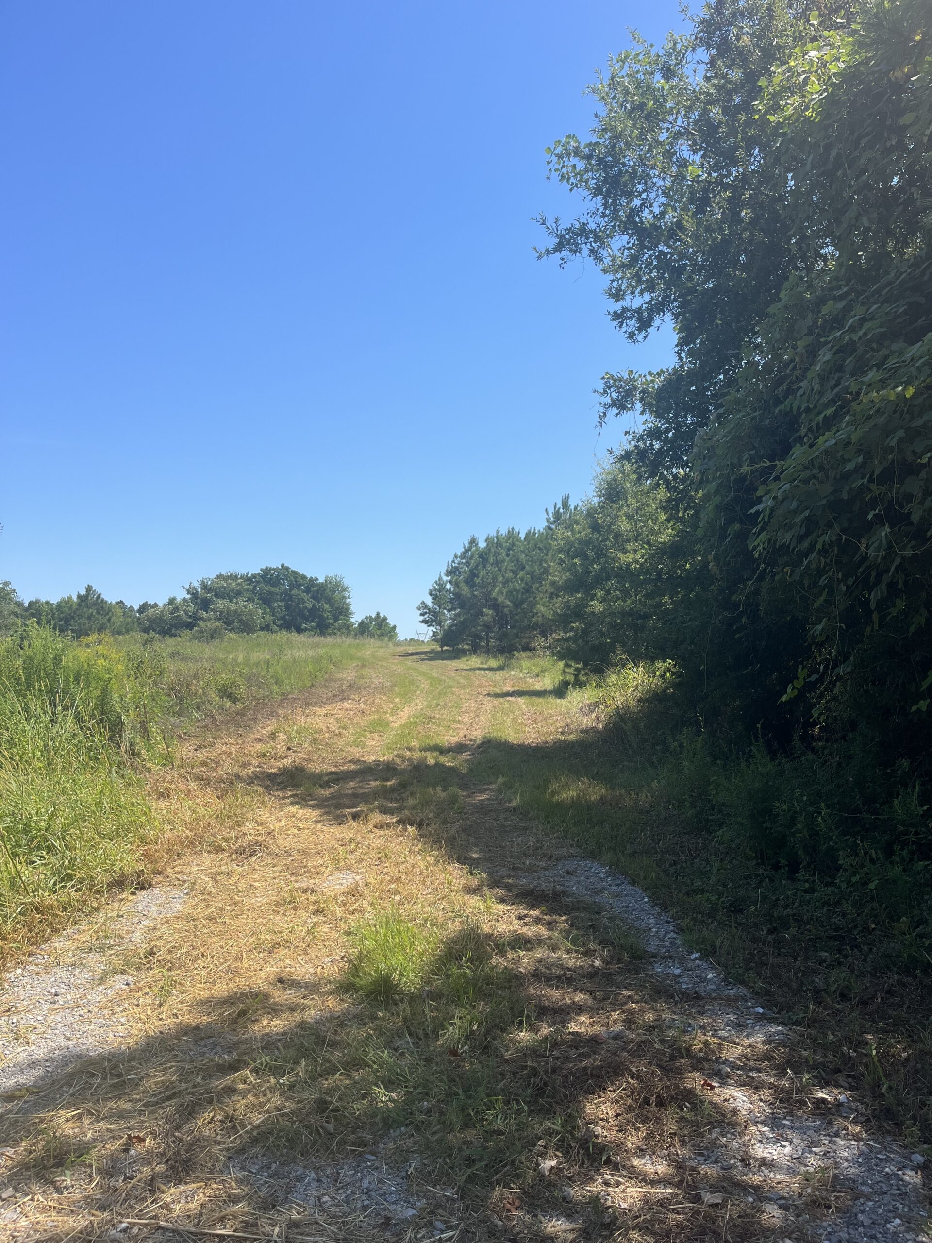 389 Acres Hunting & Timberland with Cabin in Autauga County, Alabama