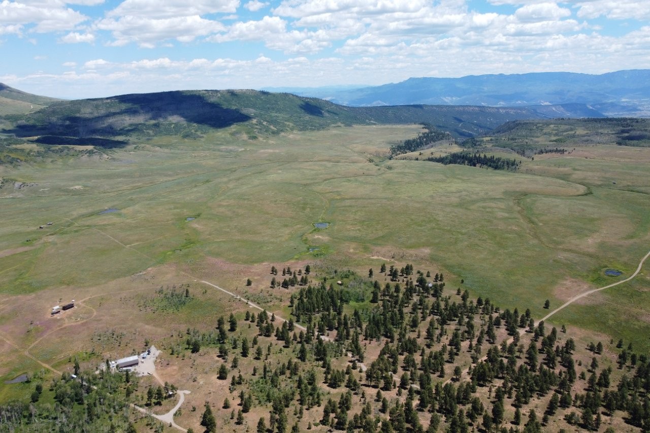 161 Acres San Juan Mountain Land for Sale in Placerville, CO