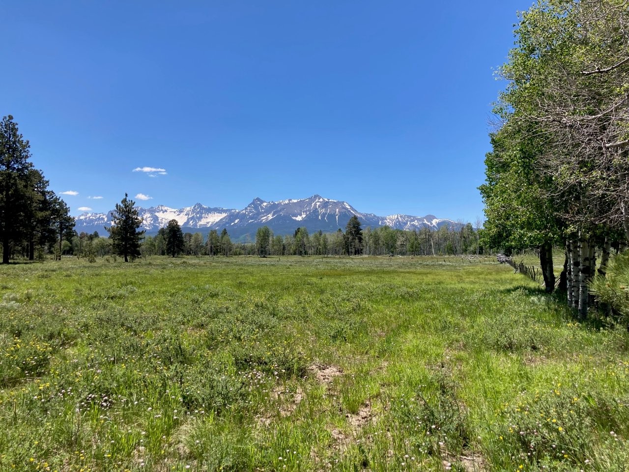 161 Acres San Juan Mountain Land for Sale in Placerville, CO