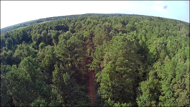 Thomaston Family Hunting and Homesite