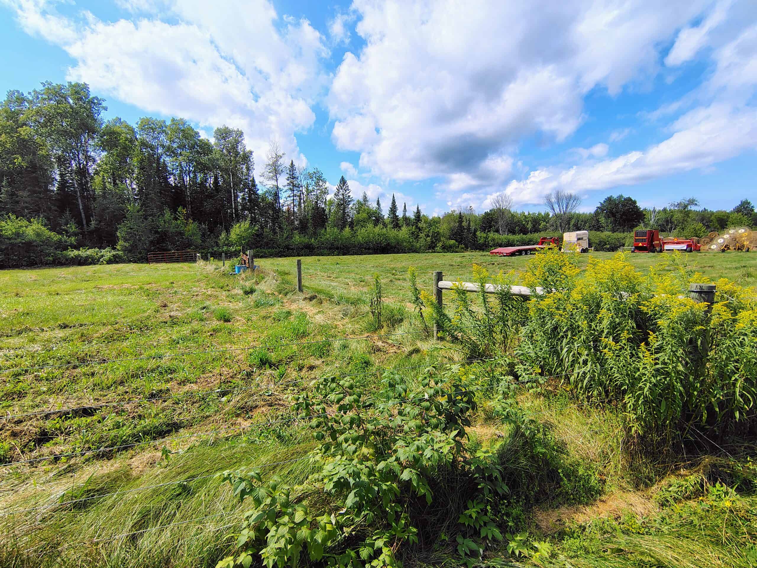 Country Home with Acreage for Sale in Glidden, WI
