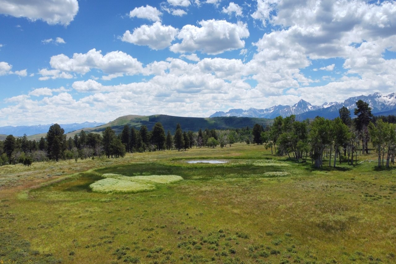 161 Acres San Juan Mountain Land for Sale in Placerville, CO