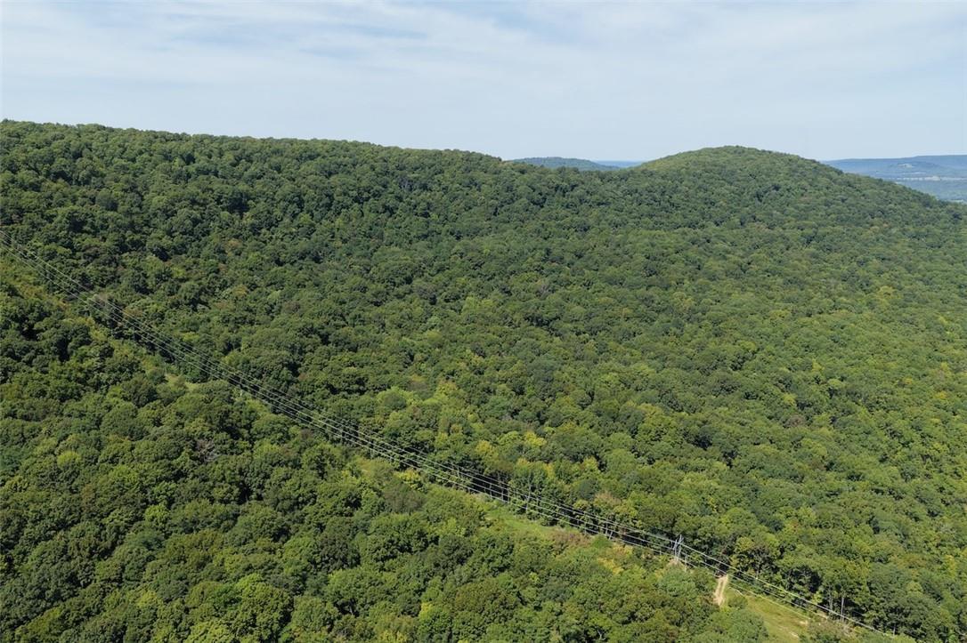 40 Acre Hunting Property For Sale in Madison County, Arkansas