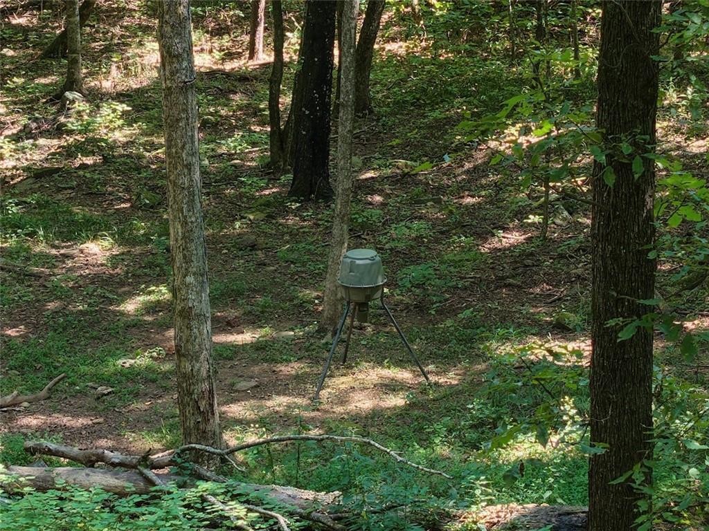 40 Acre Hunting Property For Sale in Madison County, Arkansas