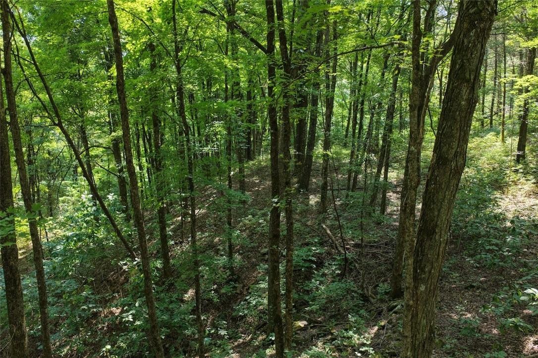 40 Acre Hunting Property For Sale in Madison County, Arkansas