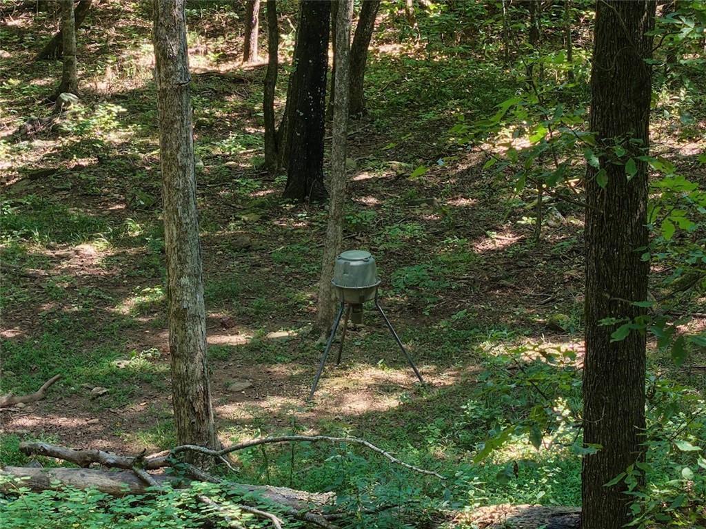 40 Acre Hunting Property For Sale in Madison County, Arkansas
